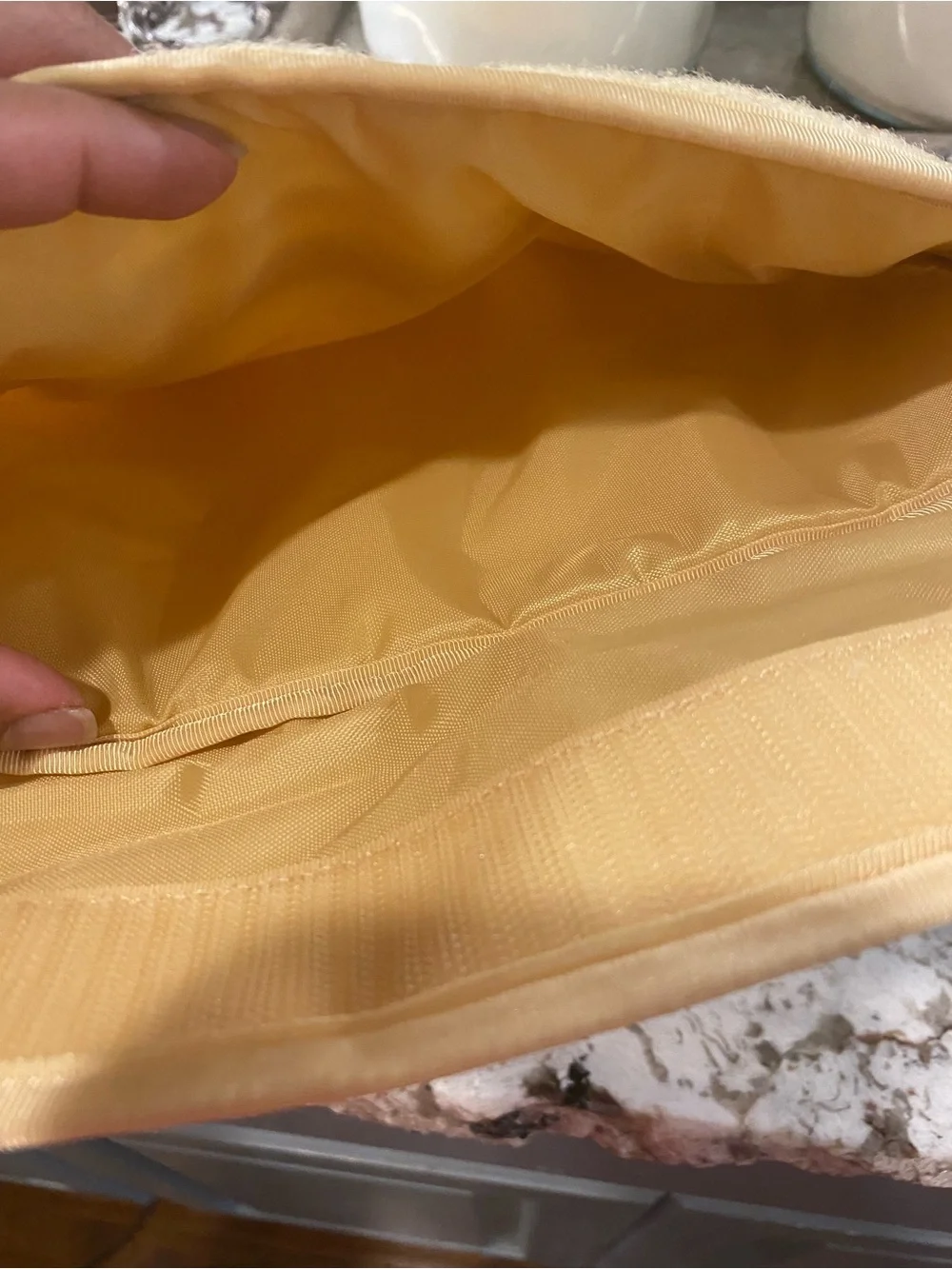 Patagonia padded laptop